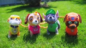 Настя и папа строят домики для собак ⧸ Nastya and papa makes playhouse