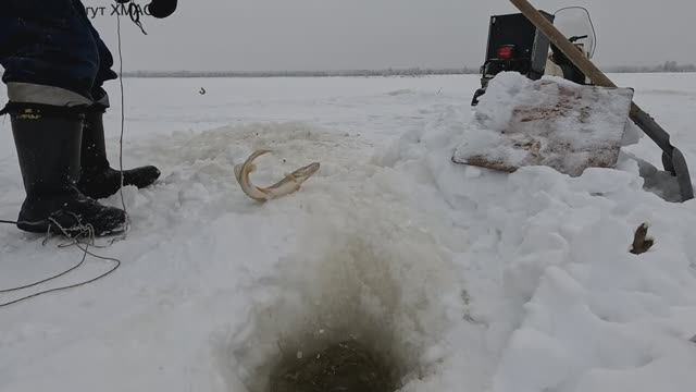 Проверка удочек. 48 день. смотреть онлайн