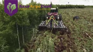 Борона БДТ сносит лес на корню за минуты!