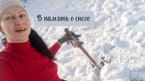 Память о растаявшем снеге, наши садовые радости