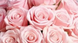 Новая покупка💗🌹~Варя купила себе...~🎀