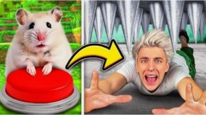 ВЛАД А4 - ХОМЯК vs КОМАНДА А4 ! Экстремальное УНИЧТОЖЕНИЕ