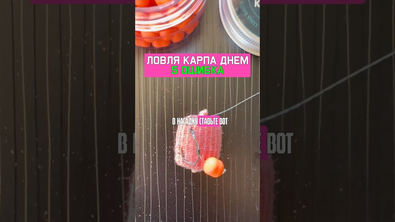 Ошибка карпятника в дневной рыбалке на карпа. Карпфишинг 2025 смотреть онлайн