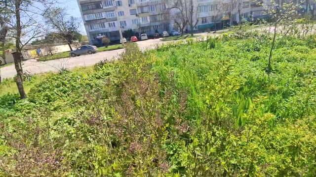 Один из дней города Евпатории | 22 апреля 2021 г | Крым | ХАН БАТОН XAH 6ATOH | VID_20210422_135505 смотреть онлайн