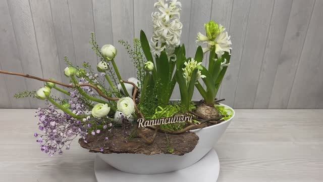 Композиция из луковичных гиацинтов смотреть онлайн