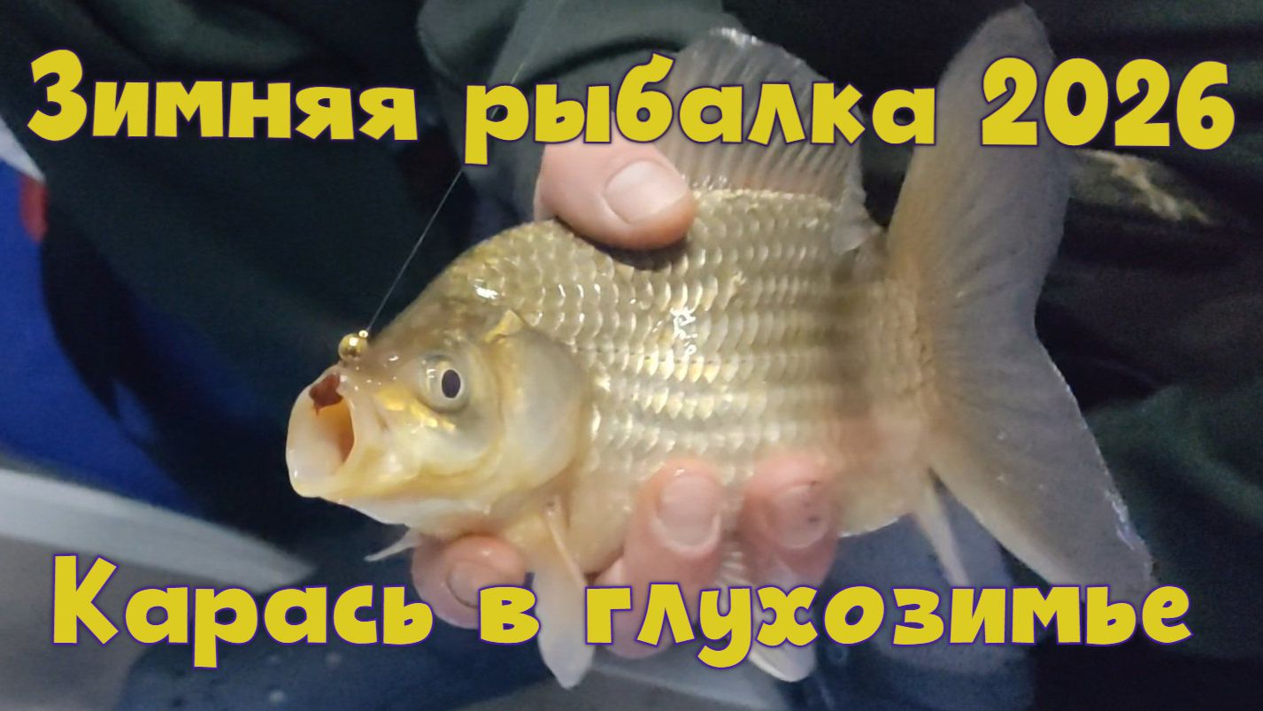 Зимняя рыбалка 2026. Ловля карася в глухозимье. 24-25.01.2026г. смотреть онлайн