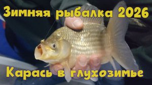 Зимняя рыбалка 2026. Ловля карася в глухозимье. 24-25.01.2026г.