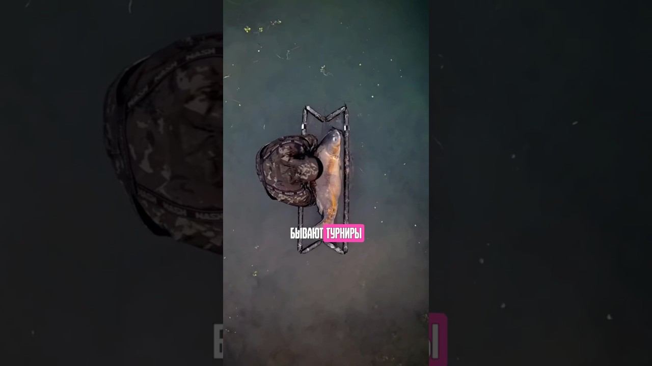 Сколько брать корма на соревнования по ловле карпа? #карпфишинг смотреть онлайн