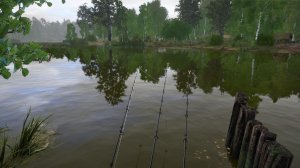 За Уклейкой и Ершами на озеро Комариное