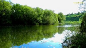 vovich АРХИВ часть 6