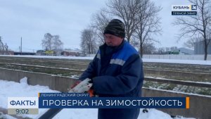 На Кубани озимые культуры проверяют на зимостойкость