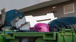 Обезглавленную иностранку нашли в мусорном контейнере в Стамбуле