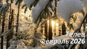 Прогноз для Тельцов на Февраль 2026