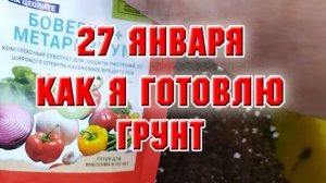 27 января. Как я готовлю грунт для посадок