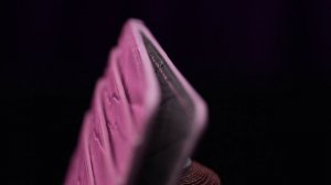 Картхолдер из крокодила