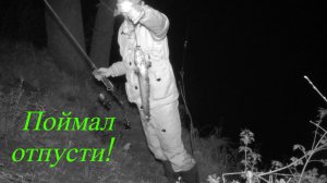 Спортивная рыбалка ночью! #клёвыйкадр #ночнаярыбалка #спортивнаярыбалка #сом #рыбалканадонки
