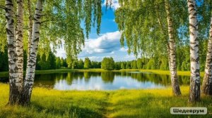 Белая берёза