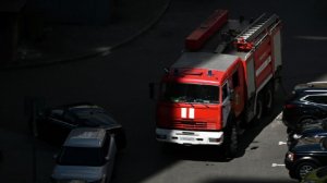 В ходе тушения пожара в ангаре в Ленобласти спасли 10 баранов