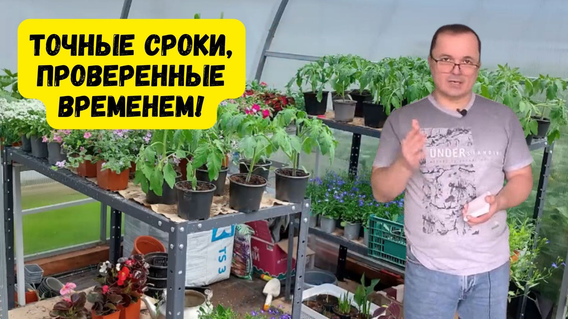 Когда посеять помидоры на рассаду- точные сроки проверенные временем смотреть онлайн