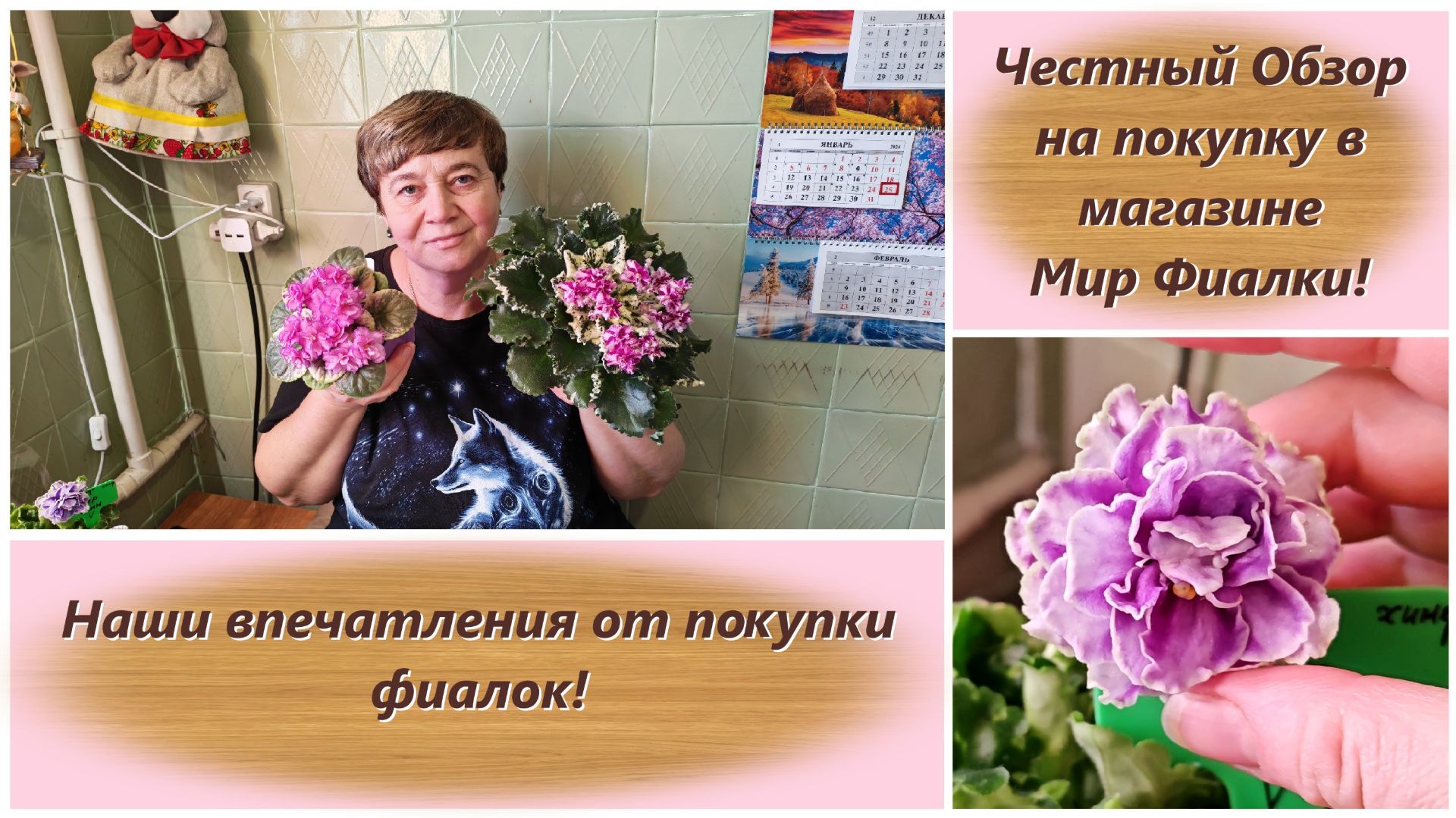 Честный Обзор на покупку в магазине Мир Фиалки! Наши впечатления от покупки фиалок! смотреть онлайн