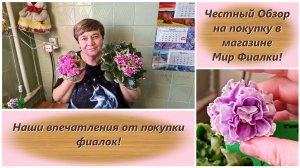Честный Обзор на покупку в магазине Мир Фиалки! Наши впечатления от покупки фиалок!