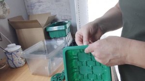 обзор семян цветочков, и мини парнички с лампами (27.01.26).