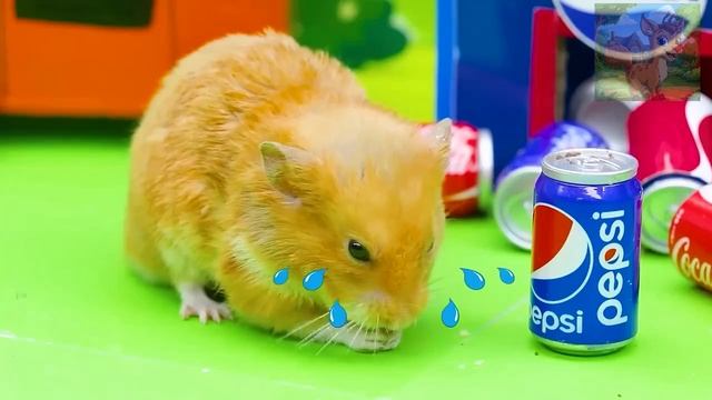 Как усердно работает хомяк, чтобы получить напиток Автомат с вазами чуть не разбился! смотреть онлайн
