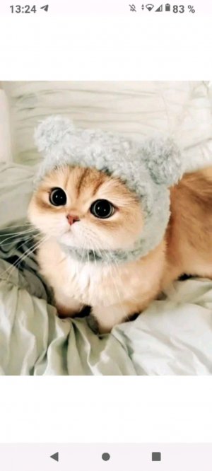 Шоу ВОПРОСИКИ 
И ЗАГАДОЧКИ
(отвечу всем)😋😋✨✨♥️♥️🥰😏😏😄подключитесь пожалуйста