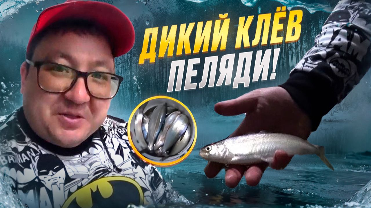 ВОТ ЭТО РЫБАЛКА!!! СТОЛЬКО ПЕЛЯДИ, Я ЕЩЕ НЕ ЛОВИЛ. БЕШЕНЫЙ КЛЕВ ПЕЛЯДИ ЗИМОЙ. смотреть онлайн