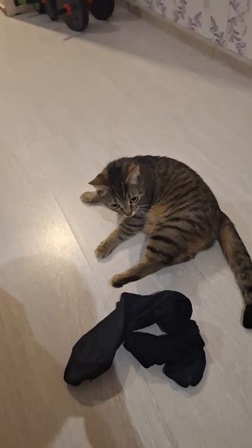 Бася была без настроения