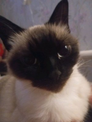 уборка в км(2 часть)