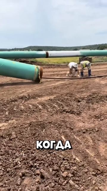 Рабочие остановили стройку из-за жуткой находки в трубе #shorts