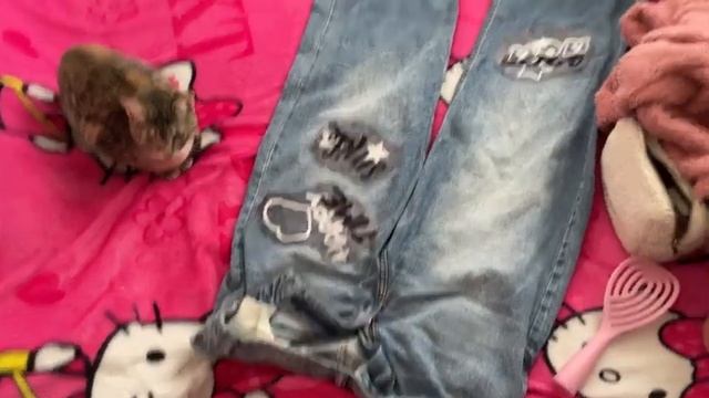 1000038650.mp4 смотреть онлайн