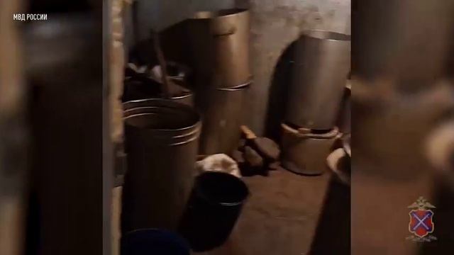 Полицейские в Волгограде изъяли 1,7 тонны незаконно выловленной рыбы смотреть онлайн