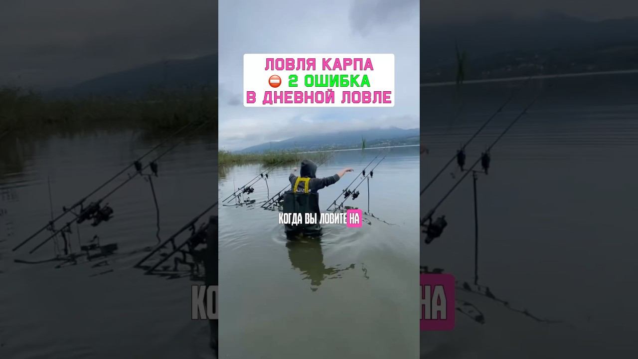 ГЛАВНАЯ ОШИБКА в дневной рыбалке на карпа. Карпфишинг 2025 смотреть онлайн