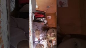 мои извинения