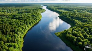 Течёт река Волга 🎵 Песня