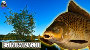 Этот водоём просто манит нас #рр4