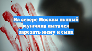 На севере Москвы пьяный мужчина пытался зарезать жену и сына