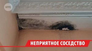 От грибка и плесени в квартире уже шесть лет не может избавиться пенсионерка из Иркутска