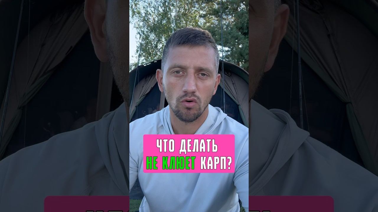 Как ЛОВИТЬ МНОГО карпа и сазана? Карпфишинг 2025 смотреть онлайн