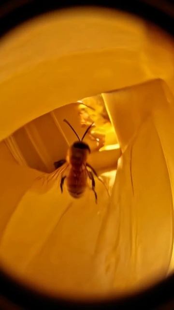 0127(2) смотреть онлайн