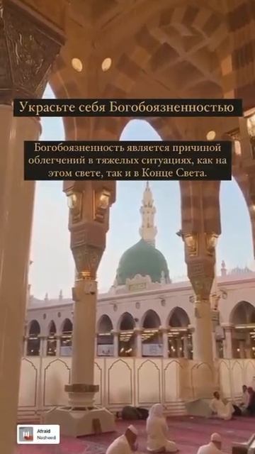 Украсьте себя богобоязненностью. Шейх Шамиль аш-Шафи'ий. смотреть онлайн
