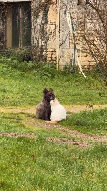 Вам и не снилось смотреть онлайн