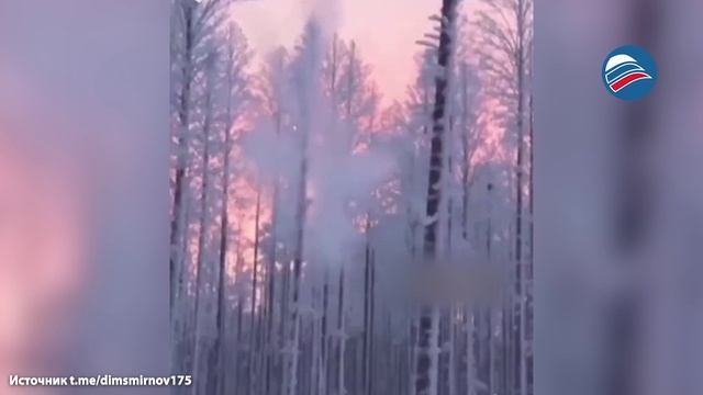 Деревья в США «взрываются» из-за 40-градусных морозов смотреть онлайн