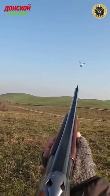 Охота на фазана - нарезки метких выстрелов смотреть онлайн