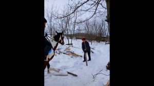 НЕОЖИДАННО