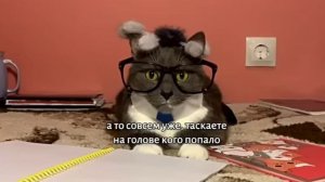 Kotiynet 4 серия 1 сезон (2 часть)