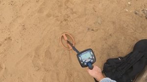 Прибор Minelab Quattro MP