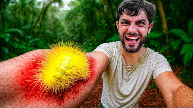 Укушен гусеницей львом. Самые болючие укусы смотреть онлайн